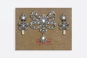 Estuche AD073 FPX  Maximo Betro