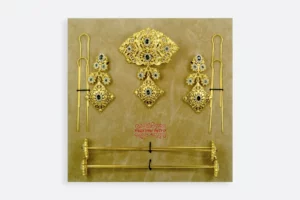 Estuche AD110 FOR  Maximo Betro