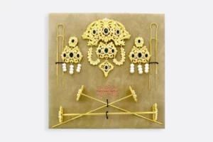 Estuche AD153 FOR  Maximo Betro