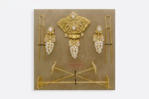 Estuche AD200 FOR  Maximo Betro