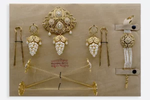 Estuche AD220 FOR  Maximo Betro