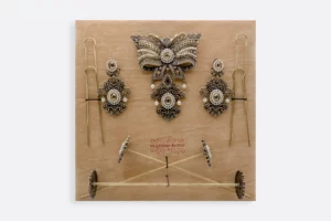 Estuche AD221 FBR  Maximo Betro