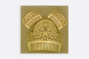 Estuche ADPN030 OM  Maximo Betro