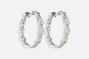 Pendientes 0124 CR Maximo Betro