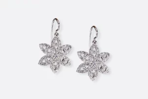 Pendientes 0187 CR Maximo Betro