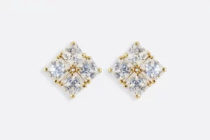 Pendientes 0245 CR Maximo Betro
