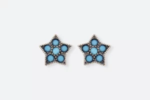 Pendientes 0263 CO Maximo Betro
