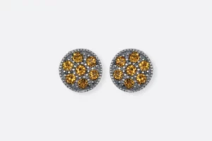 Pendientes 0264 PL Maximo Betro