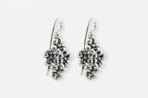 Pendientes 0310 PL Maximo Betro