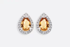 Pendientes 0453 Maximo Betro