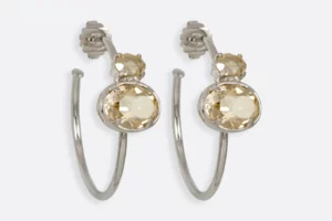 Pendientes 0485 PL Maximo Betro