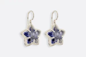Pendientes 0588 RA Maximo Betro