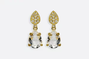 Pendientes 40099 PL Maximo Betro