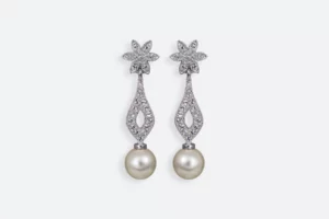 Pendientes 4212 CR Maximo Betro