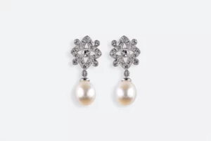 Pendientes 4295 CR Maximo Betro