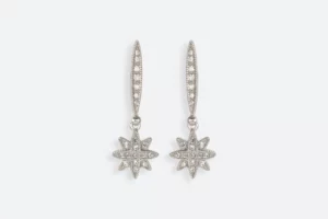 Pendientes 4844 Maximo Betro